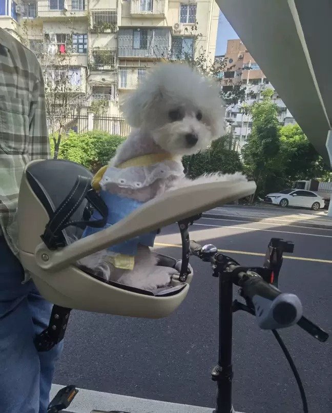 Mountain Biking With Dog - เหมาะสำหรับจักรยานพับได้, จักรยานเสือภูเขา, ตะกร้าสำหรับแมว, จักรยานเสือหมอบ, สุนัข, เบาะนิรภัยสำหรับสุนัข