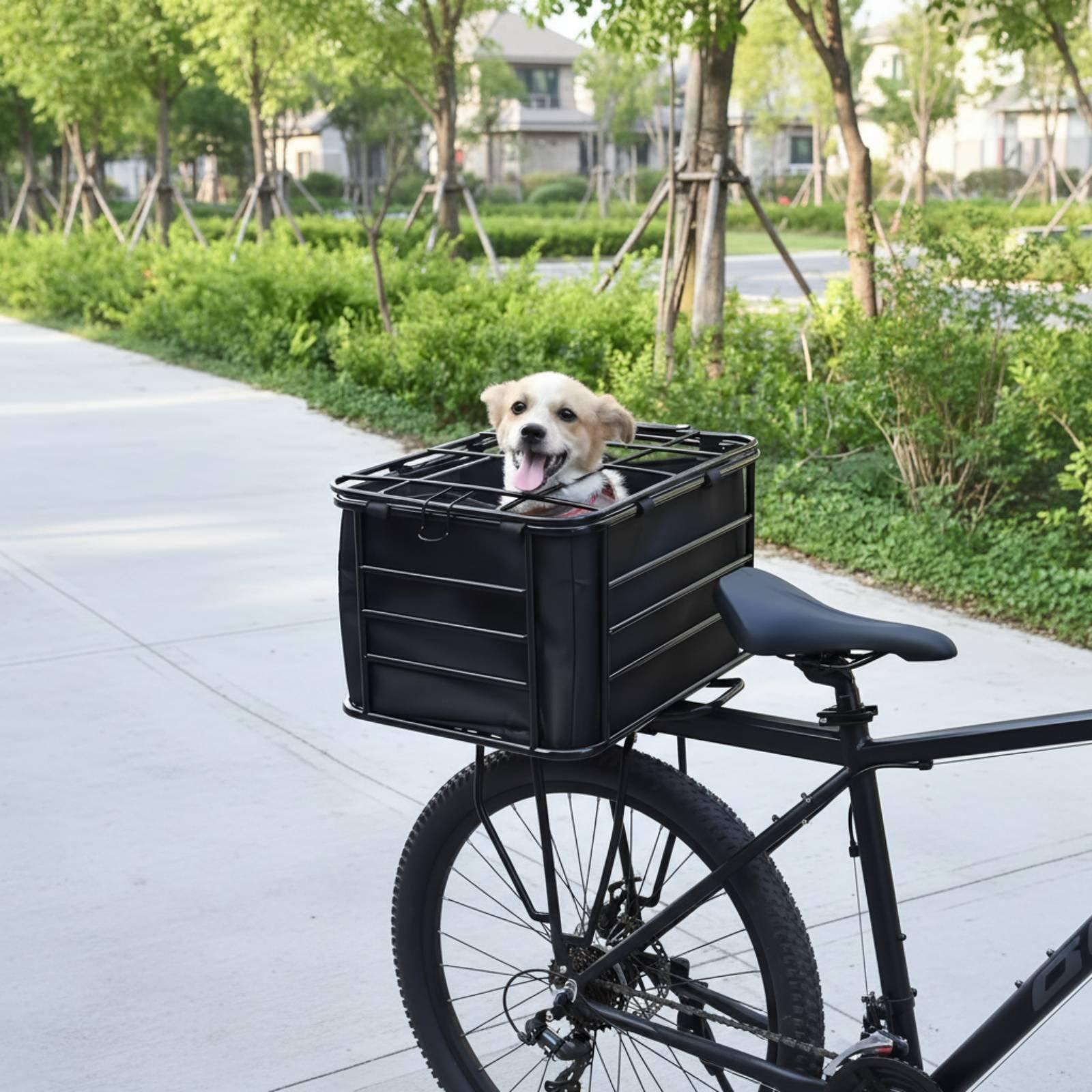ตะกร้าจักรยานพร้อมสายรัดสุนัข  - Mountain Biking With Dog บทวิจารณ์และราคา