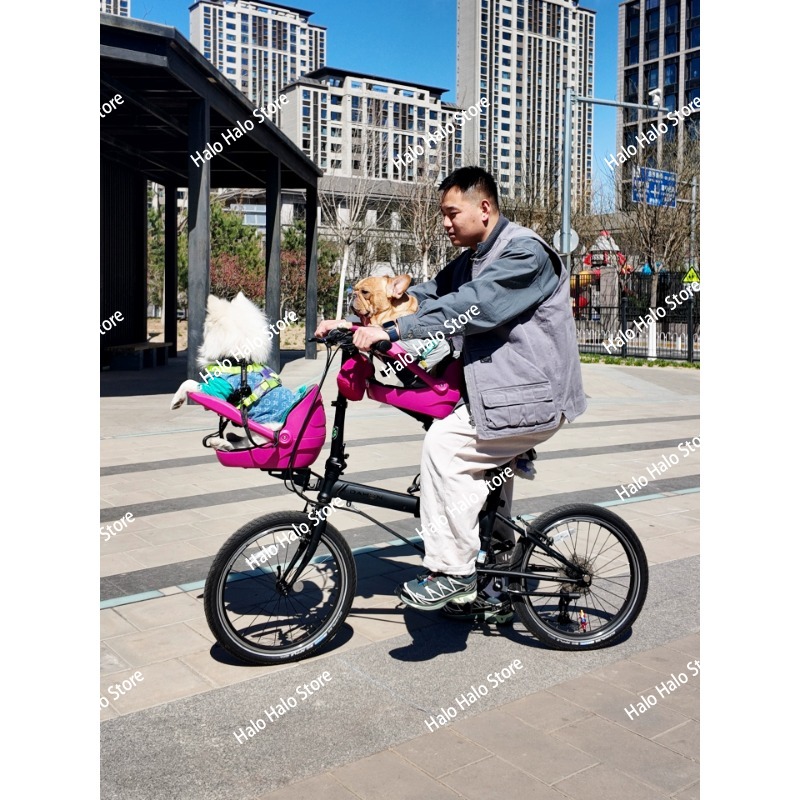เหมาะสำหรับจักรยานพับได้ขนาดเล - Mountain Biking With Dog บทวิจารณ์และราคา